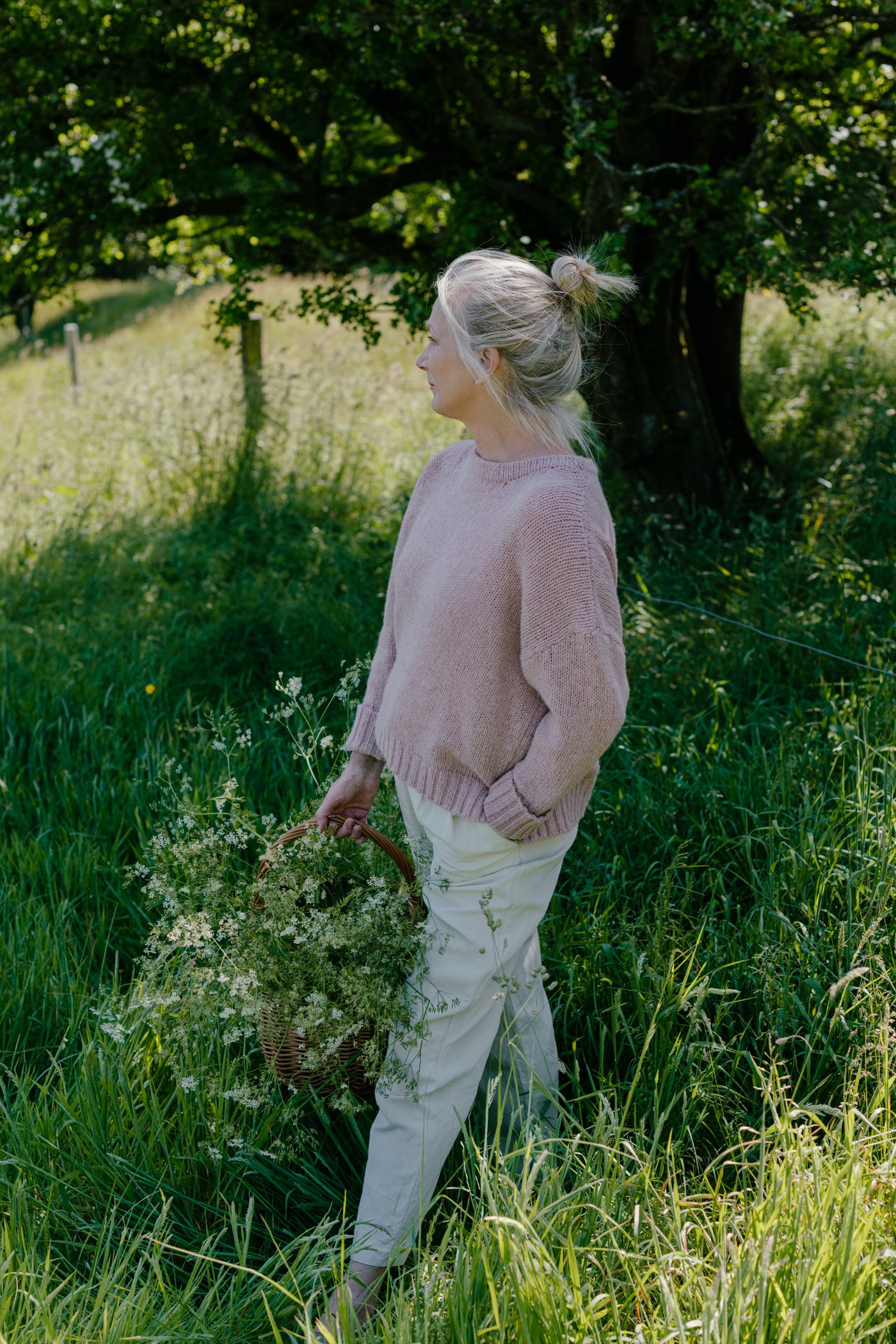 The Ériu (Sunset Palette)