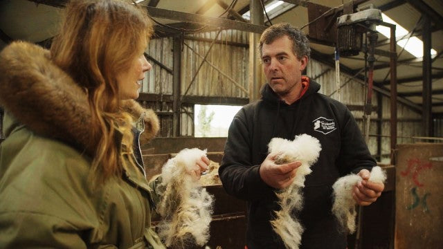 farmer tending their flock