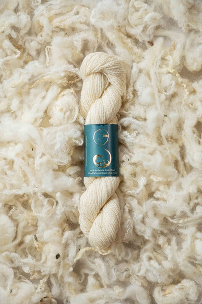 Wool Yarn in SheepsBack
