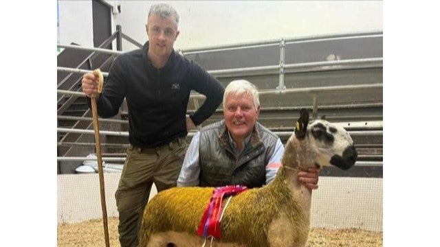 farmer tending their flock