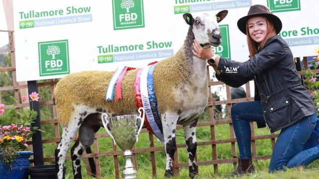 farmer tending their flock